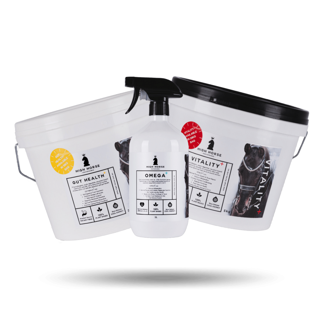 Starter Bundle+ High Horse Performance