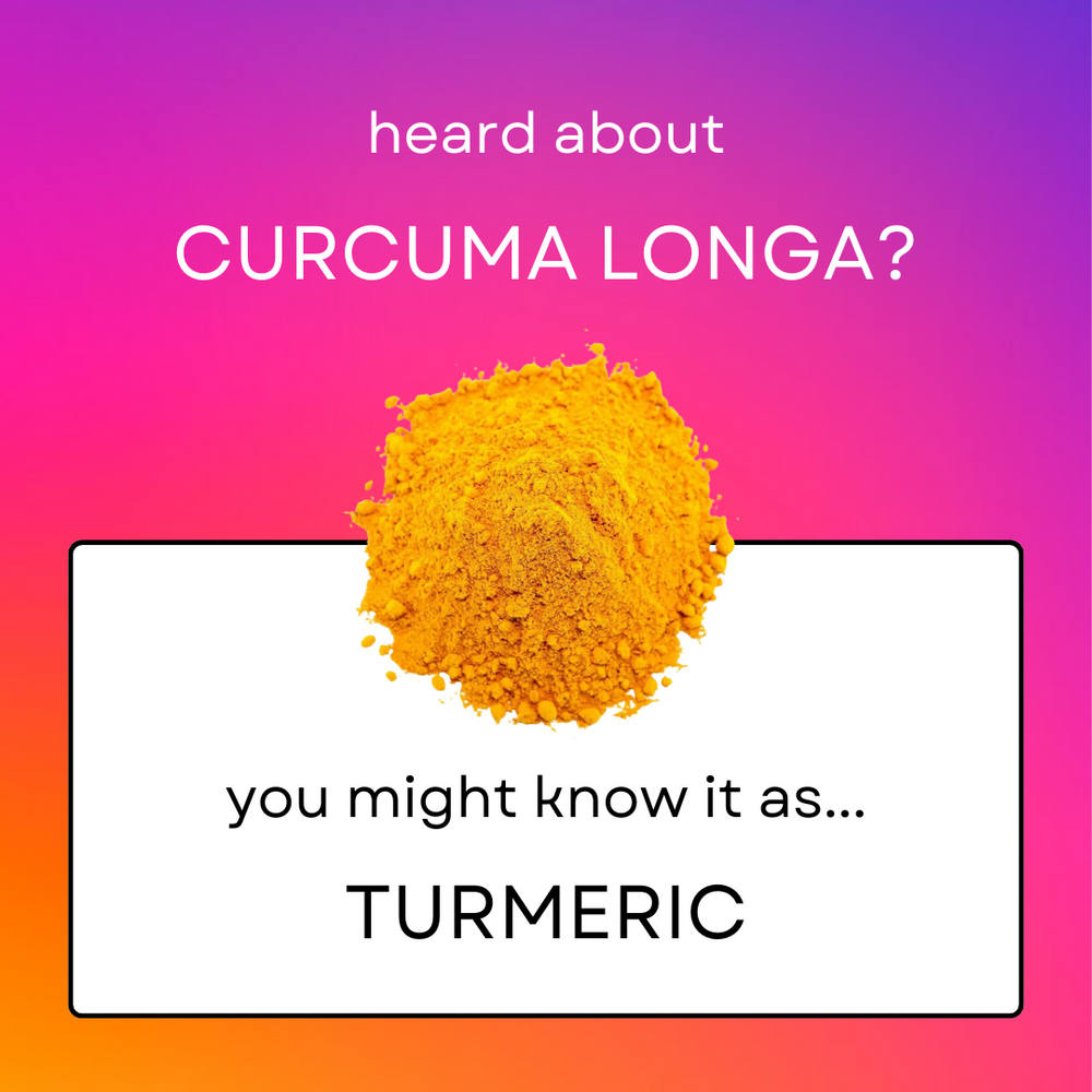 Exploring Turmeric