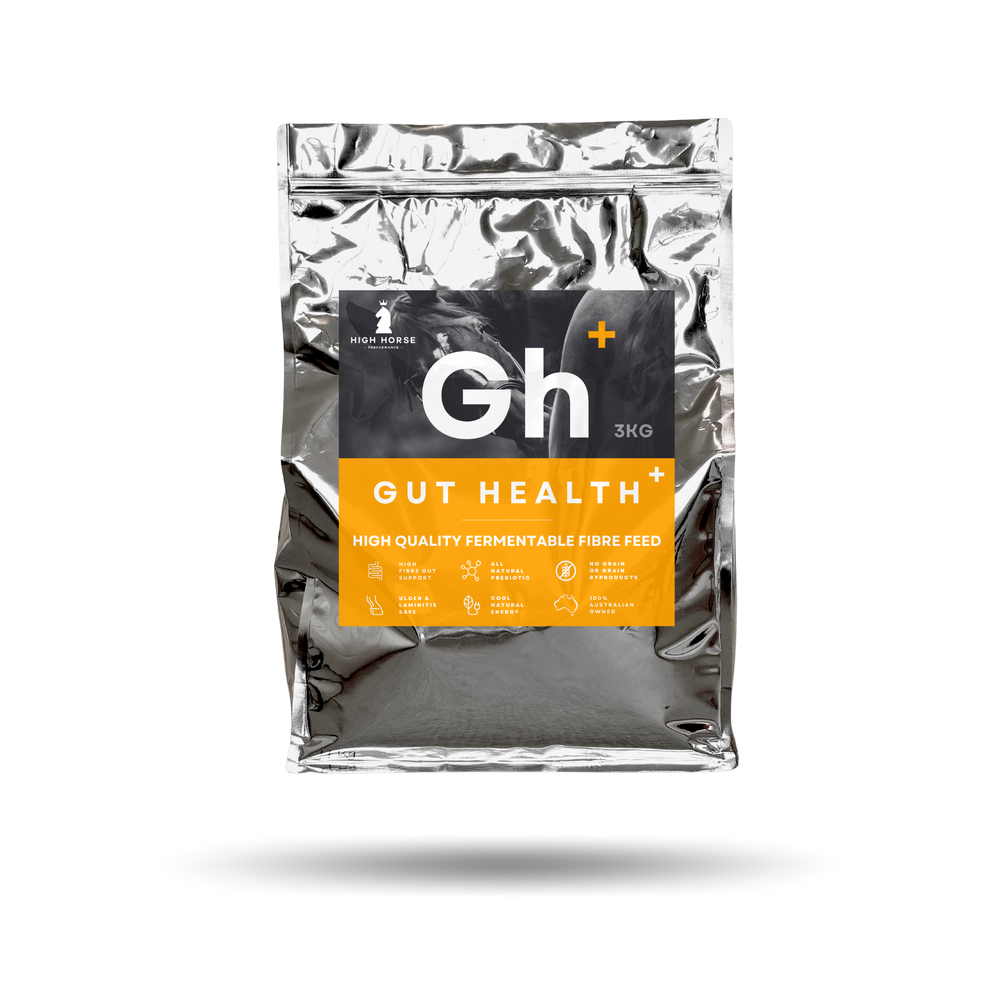 Gut Health+