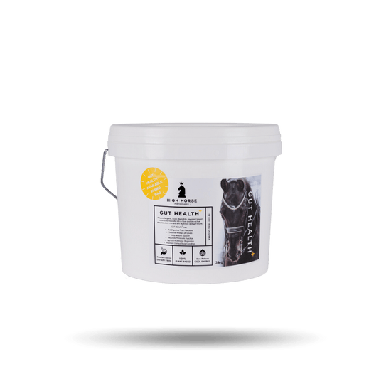 High Horse Performance