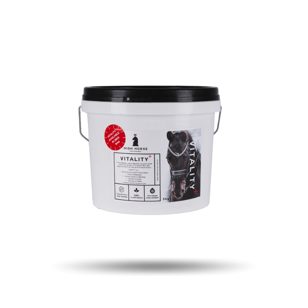 High Horse Performance